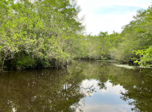Lush green trees surround a calm, reflective waterway under a bright sky.