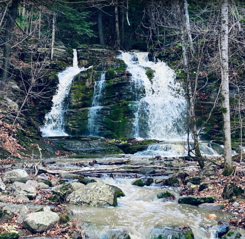 A serene waterfall cascades over mossy rocks, surrounded by trees and fallen leaves in a tranquil forest setting.