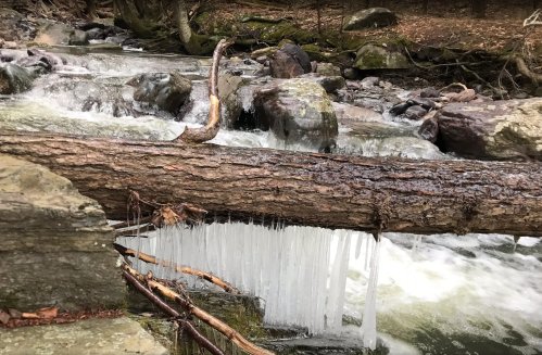 A frozen log spans a flowing stream, with icicles hanging from its underside amidst rocky terrain and trees.