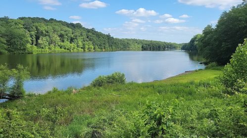 A serene lake surrounded by lush greenery and trees under a blue sky with fluffy clouds.