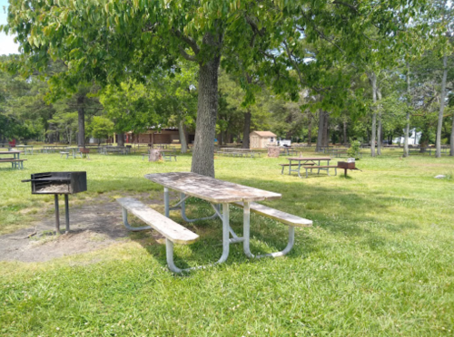 A picnic area with a wooden table, grill, and grassy space surrounded by trees and other picnic tables in the background.