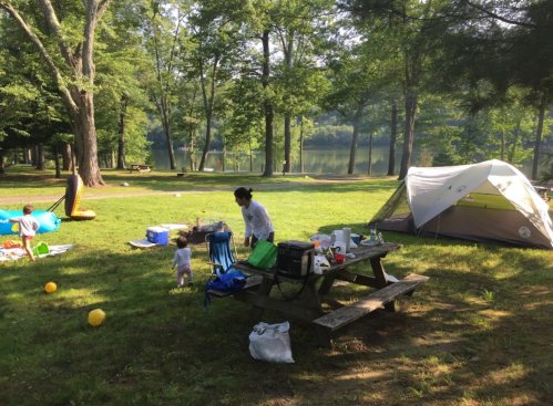 A family campsite by a lake, featuring a tent, picnic table, and children playing on the grass.