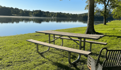 A picnic table by a calm lake, surrounded by green grass and trees under a clear blue sky.