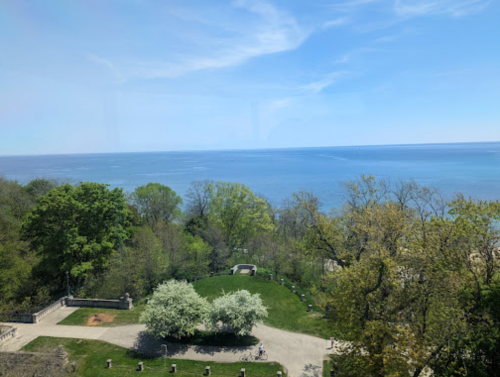 A serene view of a lush garden overlooking a calm lake under a clear blue sky.