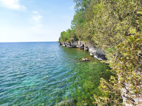 A serene shoreline with clear blue water, rocky edges, and lush greenery under a bright sky.