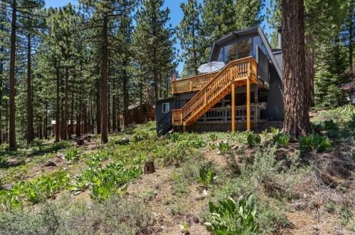 A modern cabin surrounded by tall pine trees, featuring a wooden deck and lush greenery in the foreground.