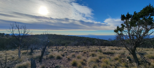 A panoramic view of a mountainous landscape under a bright sky, with sparse trees and grass in the foreground.