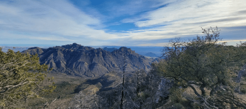A panoramic view of rugged mountains under a blue sky, with sparse trees in the foreground.