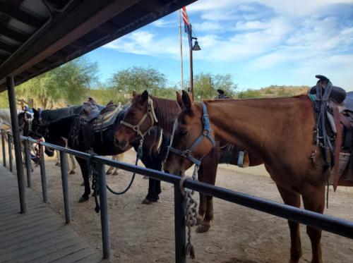 Two horses stand side by side near a wooden railing, with a clear sky and desert landscape in the background.