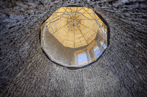 View looking up from inside a circular, textured structure with a net and wooden ceiling above.