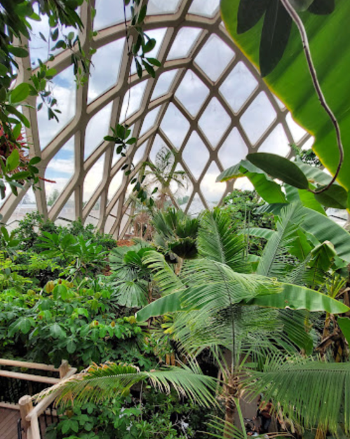 A lush indoor garden with tropical plants under a geometric glass roof, creating a vibrant, green atmosphere.