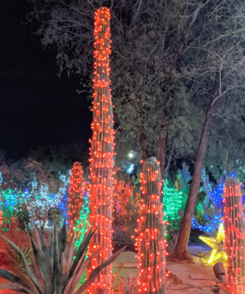 Cacti wrapped in colorful lights at night, surrounded by vibrant illuminated plants and trees.