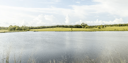 A serene landscape featuring a calm lake, green fields, and fluffy clouds in a blue sky.
