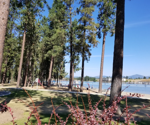 A serene lakeside scene with tall trees, a sandy beach, and people enjoying the water on a sunny day.