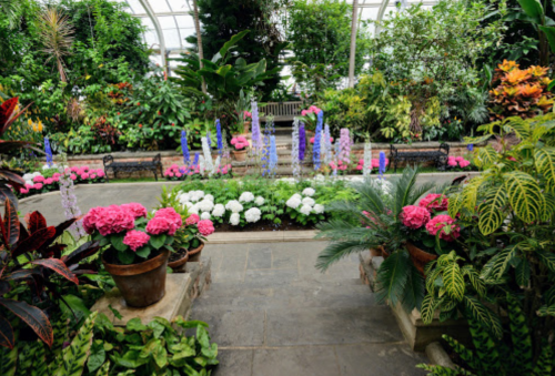 Lush greenhouse filled with vibrant flowers, greenery, and stone pathways, creating a serene botanical atmosphere.
