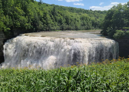 A large waterfall cascades over a rocky ledge, surrounded by lush green trees and grass.