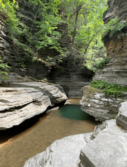 A serene canyon with steep rock walls and a clear, calm pool of water surrounded by lush greenery.