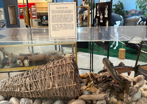 Display featuring a woven fish trap, rocks, and a fish model in a museum setting. Sign provides information about the trap.
