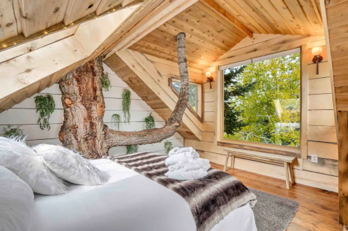 Cozy bedroom with wooden walls, a tree trunk feature, and a large window overlooking greenery. Soft bedding and towels.