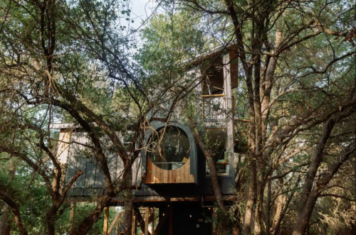 A unique treehouse nestled among trees, featuring large circular windows and a wooden deck.