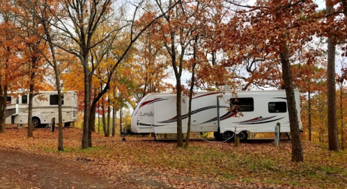 Two RVs parked among colorful autumn trees with fallen leaves covering the ground.