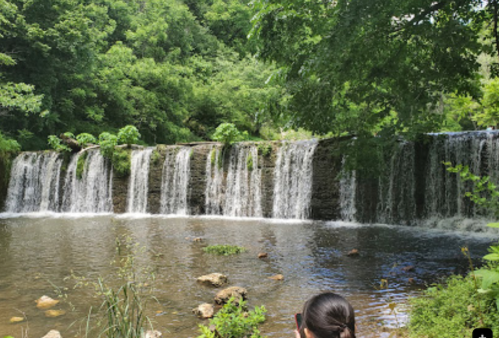A serene waterfall cascades over rocks into a calm pool, surrounded by lush green trees and foliage.
