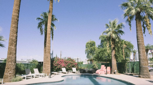 A serene pool area surrounded by palm trees and vibrant greenery under a clear blue sky.