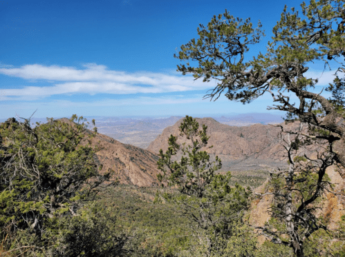 A scenic view of rugged mountains and trees under a clear blue sky, showcasing a vast landscape.