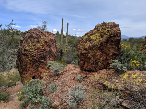 Two large, weathered rocks covered in green moss, surrounded by desert vegetation and cacti under a cloudy sky.