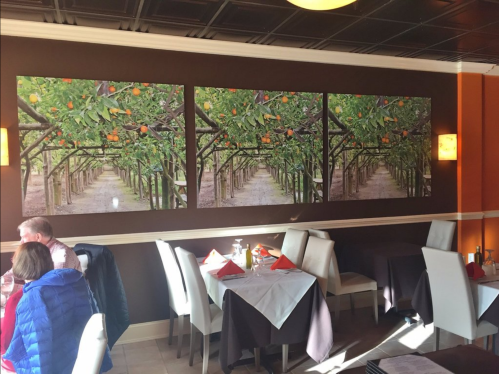 A restaurant interior featuring three large photos of an orange grove on the wall, with diners at tables below.