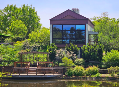 A modern house with large windows surrounded by lush greenery and a wooden deck by a pond.