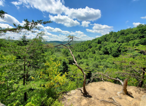 A scenic view of lush green hills under a bright blue sky with fluffy white clouds.