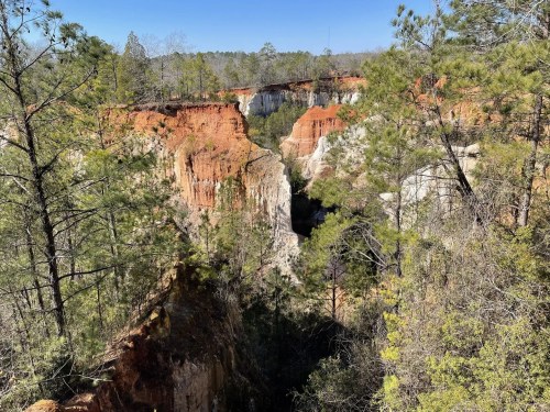 A scenic view of colorful canyon cliffs surrounded by lush green trees under a clear blue sky.