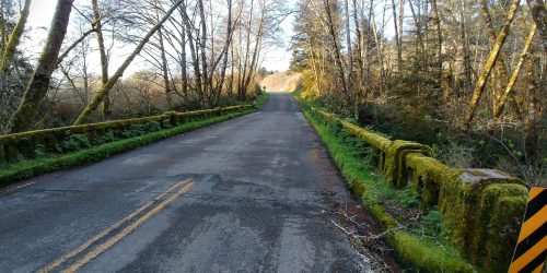 A quiet, tree-lined road with moss-covered guardrails, leading into a sunlit forested area.