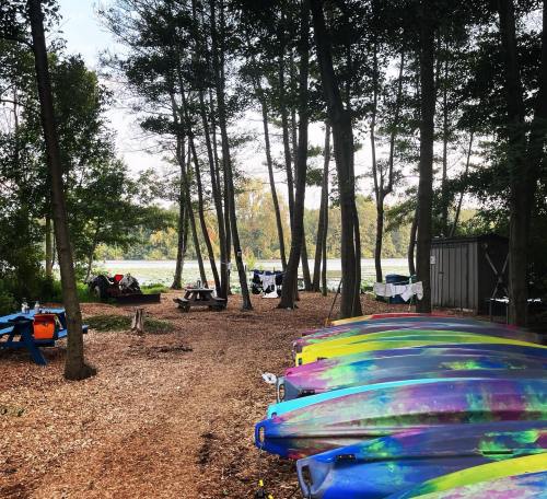 A serene lakeside scene with colorful kayaks lined up, surrounded by trees and picnic tables.