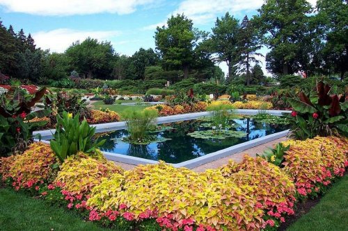 A vibrant garden featuring colorful flowers, lush greenery, and a serene pond with water lilies under a blue sky.