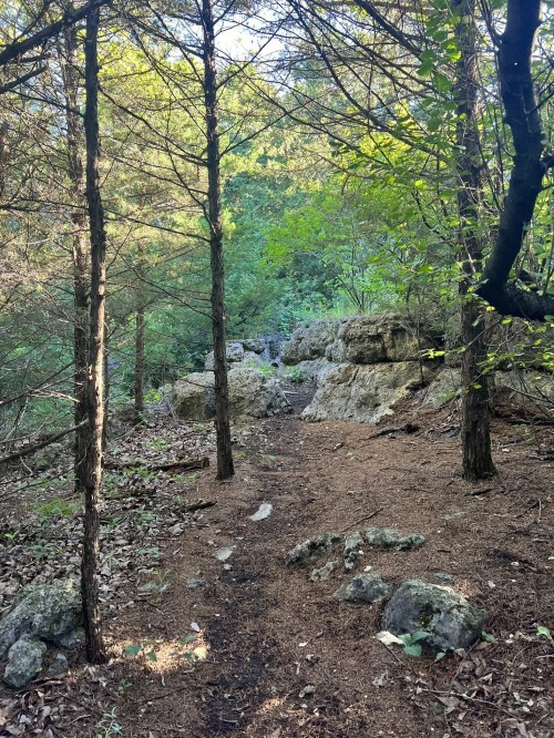 A narrow dirt path winds through a forest with tall trees and rocky outcrops, dappled sunlight filtering through the leaves.