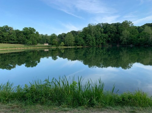 A serene lake surrounded by lush greenery, reflecting the blue sky and trees on its calm surface.