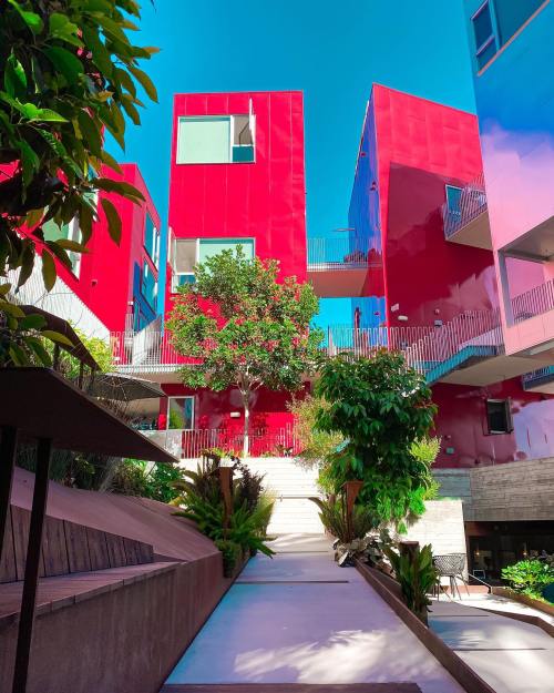 Modern red buildings with large windows surrounded by greenery and a pathway leading through a landscaped area.