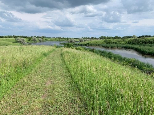 A grassy path leads through lush greenery beside a calm river under a cloudy sky.