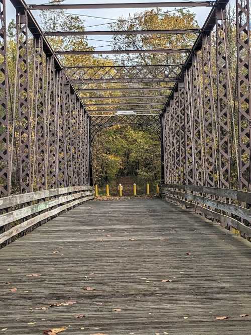 A metal bridge with a wooden walkway, surrounded by trees and autumn foliage, leading into a green area.