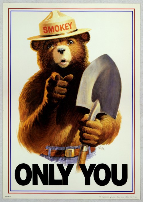A bear wearing a ranger hat holds a shovel, pointing and urging, "Only You" to prevent forest fires.