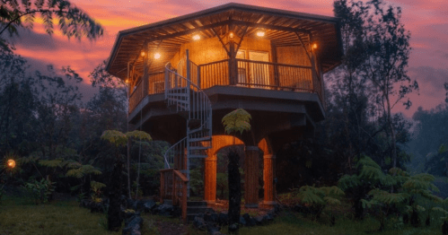 A cozy treehouse with a spiral staircase, surrounded by lush greenery and illuminated by warm lights at sunset.