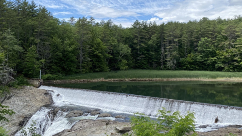 Water flows over dam surrounded by tall trees in the summer in Vermont