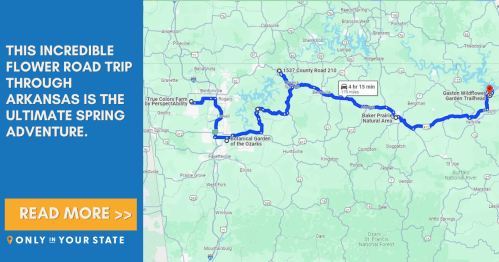 Map highlighting a flower road trip route through Arkansas, promoting a spring adventure. Text encourages readers to learn more.