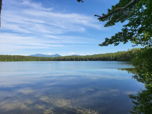 A serene lake surrounded by lush greenery and distant mountains under a clear blue sky.