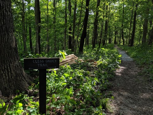 A wooded trail with a sign reading "Clegg Garden Trail," surrounded by lush greenery and wooden planks nearby.
