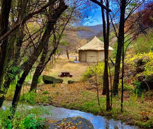 A tent nestled among trees by a stream, with a picnic table nearby and autumn foliage in a serene landscape.