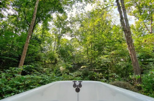 A serene view from a bathtub surrounded by lush green trees and foliage, creating a peaceful natural setting.