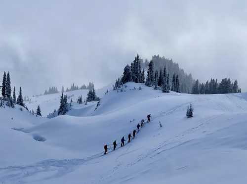 A group of hikers ascends a snowy mountain trail, surrounded by trees and misty, overcast skies.